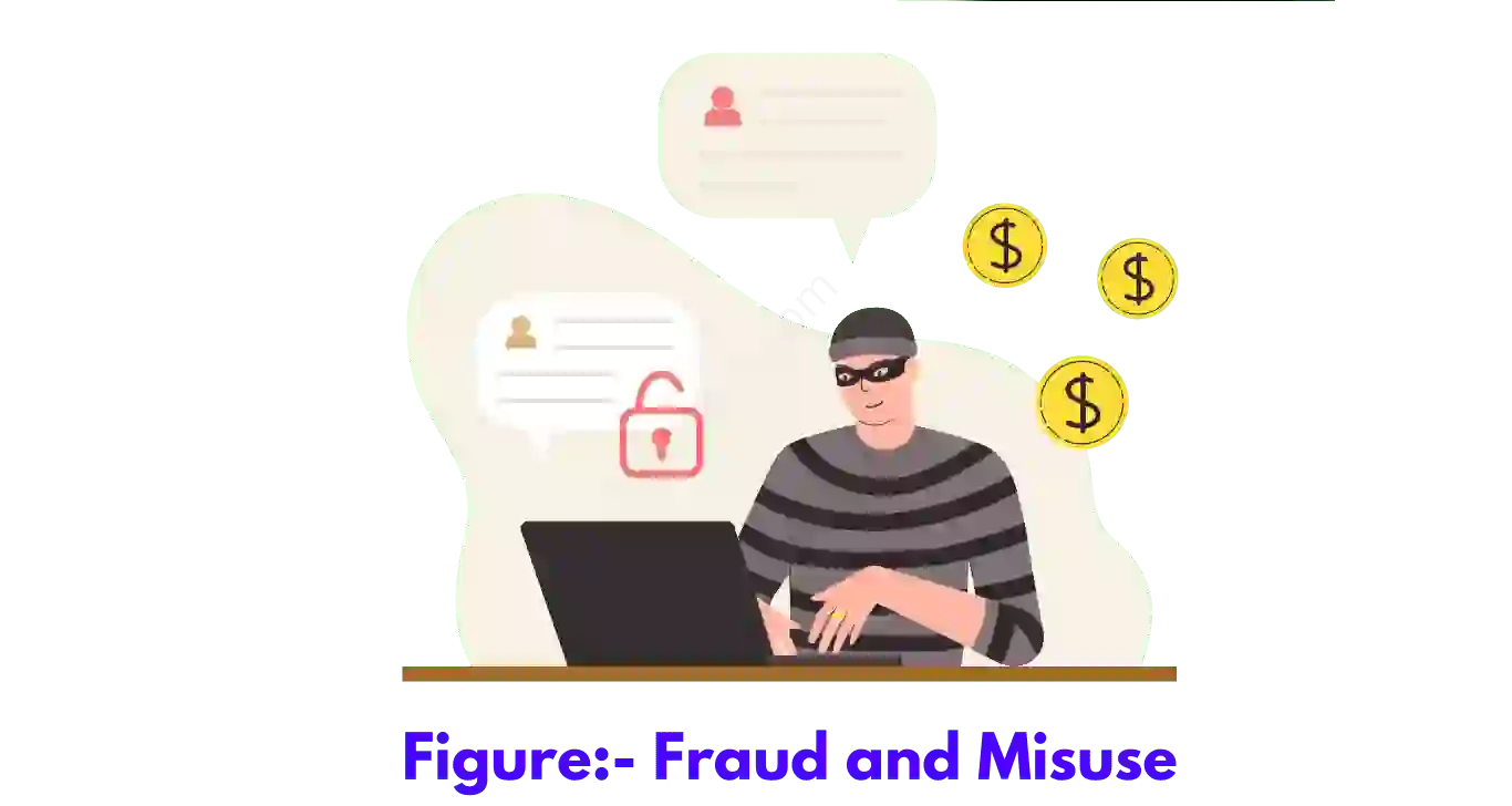 Fraud and Misuse