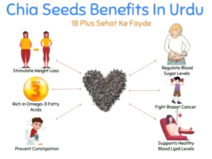 Chia Seeds Benefits In Urdu