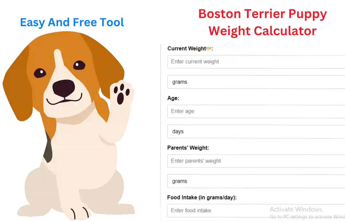 Boston Terrier Puppy Weight Calculator