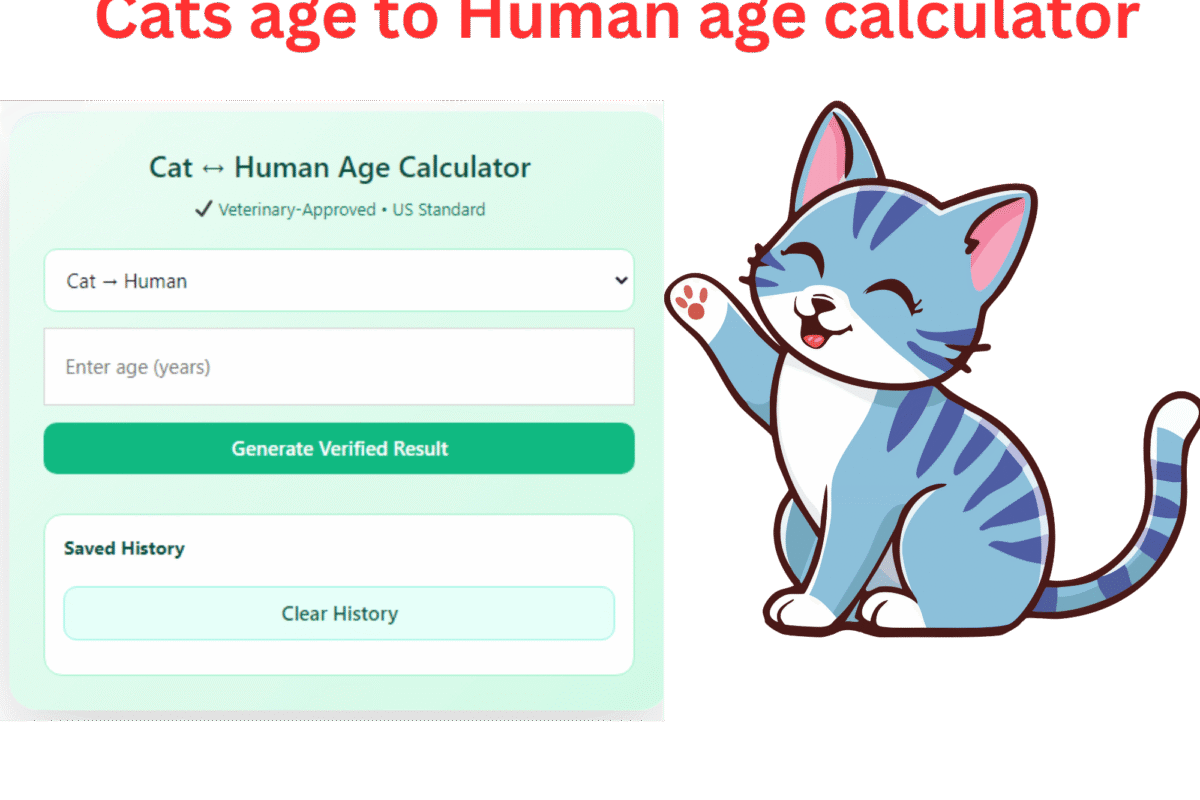 cats age to human age calculator