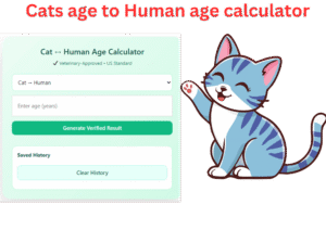 cats age to human age calculator