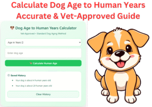 Calculate Dog Age to Human Years
