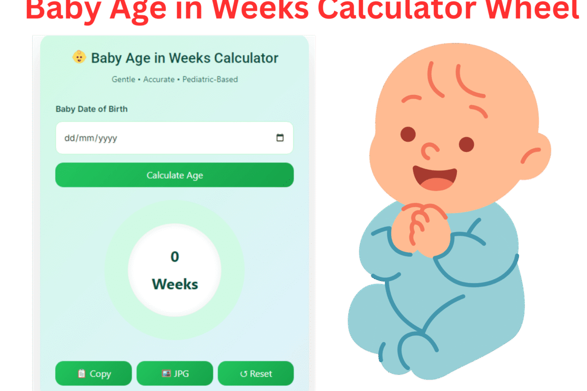 baby age in weeks calculator wheel