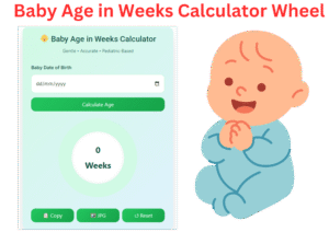 baby age in weeks calculator wheel